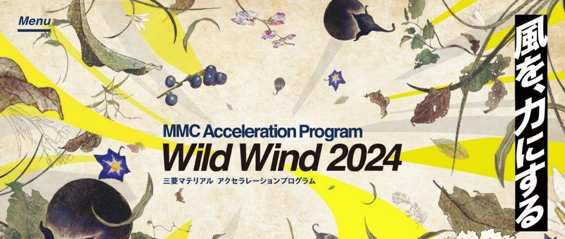 MMC Acceleration Program "Wild Wind 2024"